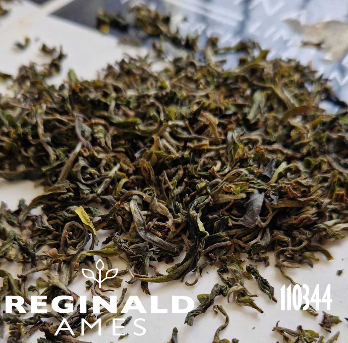 1st Flush Darjeeling Orange Valley DJ04